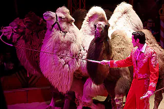 Circus Alaska
