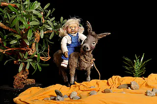 Mein Esel Benjamin