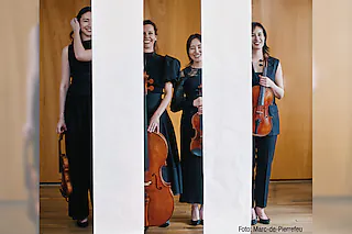 Quatuor Ardeo