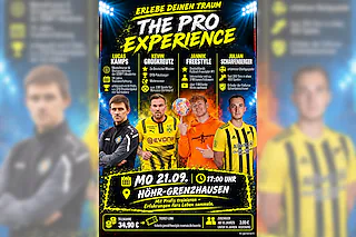 The PRO Experience