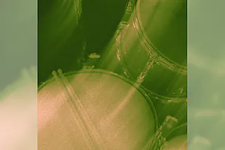 FLINTA* MUSIC LAB - DRUM WORKSHOP
