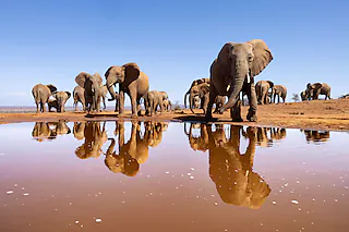 Live-Multivision: Reiner Harscher - Südliches Afrika