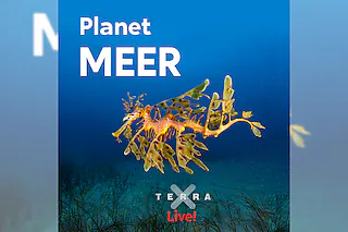 Planet Meer - Terra X Live