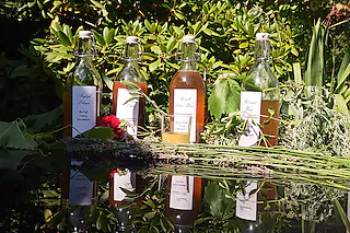 Sächsischer Wein und Weinelexiere - nach Rezepten von Hildegard von Bingen