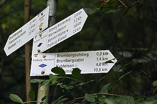 Sternwald