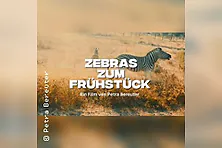 Zebras zum Frühstück
