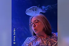 Singing Fish