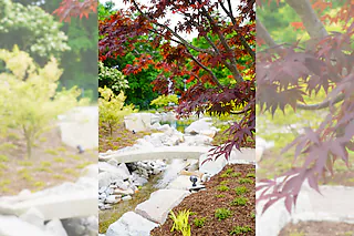 Führung Japanischer Garten