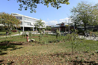 Bestechung/Bestechlichkeit im Gebäudemanagemant der Stadt Freiburg. Ein langjähriger Rathaus-Mitarbeiter  soll einer Elektrofirma im südlichen Breisgau Aufträge zugeschustert haben. Nun ermittelt die Staatsanwaltschaft gegen den 59-Jährigen wegen Bestechlichkeit und Untreue, gegen Verantwortliche des Unternehmens unter anderem wegen Anstiftung. Die Stadtverwaltung hat dem Angestellten aufgrund des „konkreten Verdachts“ fristlos gekündigt. Möglisches Objekt [Ingo Schneider]