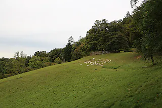 Kommandantengarten