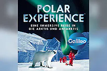 POLAR EXPERIENCE - Die immersive Ausstellung