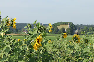 Witterschneekreuz