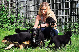 <ONBU></ONBU>Elena Jahn mit Hundewelpen im Tierheim Lehen, Artikel zu veränderten städtischen Zuschüssen für den Tierschutzverein, Tiercshutz [Thomas Kunz]
