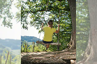 Fotomaterial darf nur in Zusammenhang mit dem Buch „Wandern für die Seele in und um Freiburg“ verwendet werden Waldschaukel bei Wildtal [Silke Kohlmann]