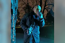 Das Monster Frankensteins