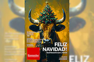 FELIZ NAVIDAD - Zwei Konzerte zum 1. Advent 2026