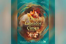 Elma Labrador Çimen