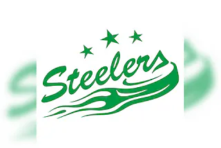 Ravensburg Towerstars - Bietigheim Steelers