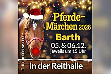 Pferde-Märchen in Barth
