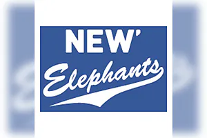 BBG Herford vs. NEW Elephants Grevenbroich