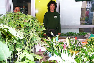 Gärtnerei Brugger (Herten)