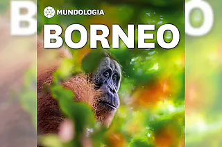 MUNDOLOGIA: Borneo