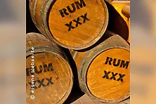 Rum Seminar | Bonn