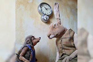 Hase & Igel - Augen auf beim Dauerlauf