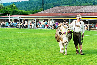 Sportplatz SV Münchweier