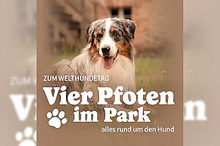 Vier Pfoten im Park - Alles rund um den Hund zum Welthundetag