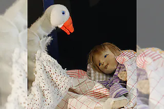 Weihnachtsgans Auguste