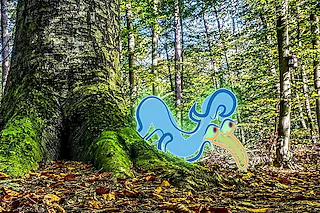 Gewürztraminer-Elwetritsche Jagd