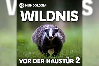 MUNDOLOGIA: Wildnis vor der Haustür 2