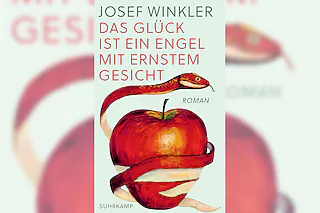 Das Glück ist ein Engel mit ernstem Gesicht - Josef Winkler