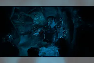 Whalefall