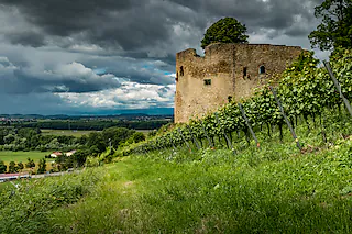 Burg Lichteneck Hecklingen