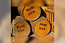 Rum Seminar