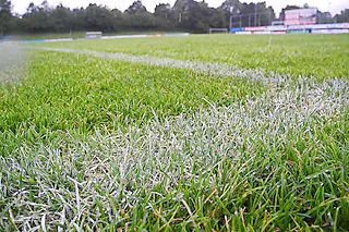 Einbollenstadion