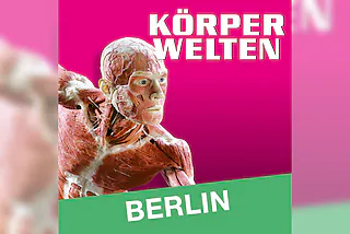 KÖRPERWELTEN | Berlin | Tagesticket