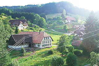 <BU>Elztal-Impressionen</BU>Klein, aber mit interessanter Geschichte: Katzenmoos. [Bernd Fackler]