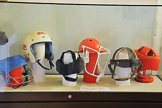 Deutsches Epilepsiemuseum