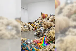 A symphony of wool