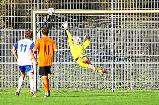 Sportplatz Allmannsweier