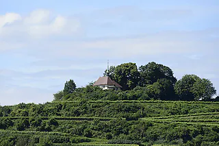 Burgunderpfad (Tuniberg)