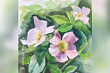 Aquarellmalerei