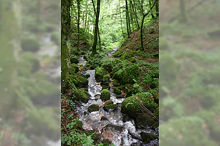Höllschlucht