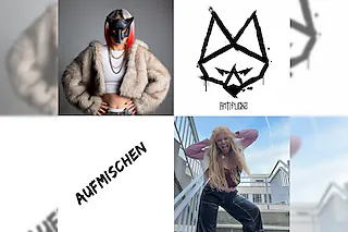 Antifuchs + Aufmischen - Fe:male Sounds