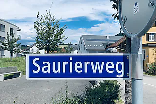 Dinosaurier-Lehrpfad