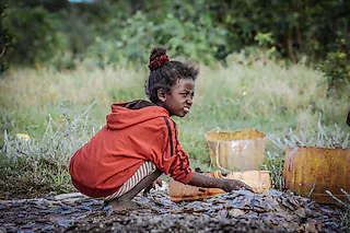Madagaskar im Fokus
