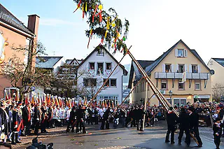 Bärenplatz